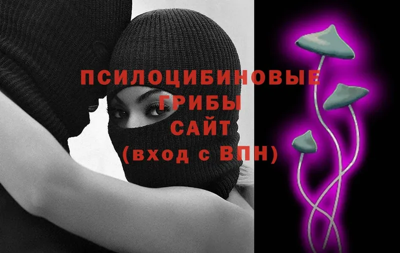 Псилоцибиновые грибы мухоморы  купить наркотики сайты  Ахтубинск 